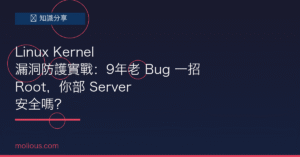 Linux Kernel 封面圖：漏洞防護實戰教學