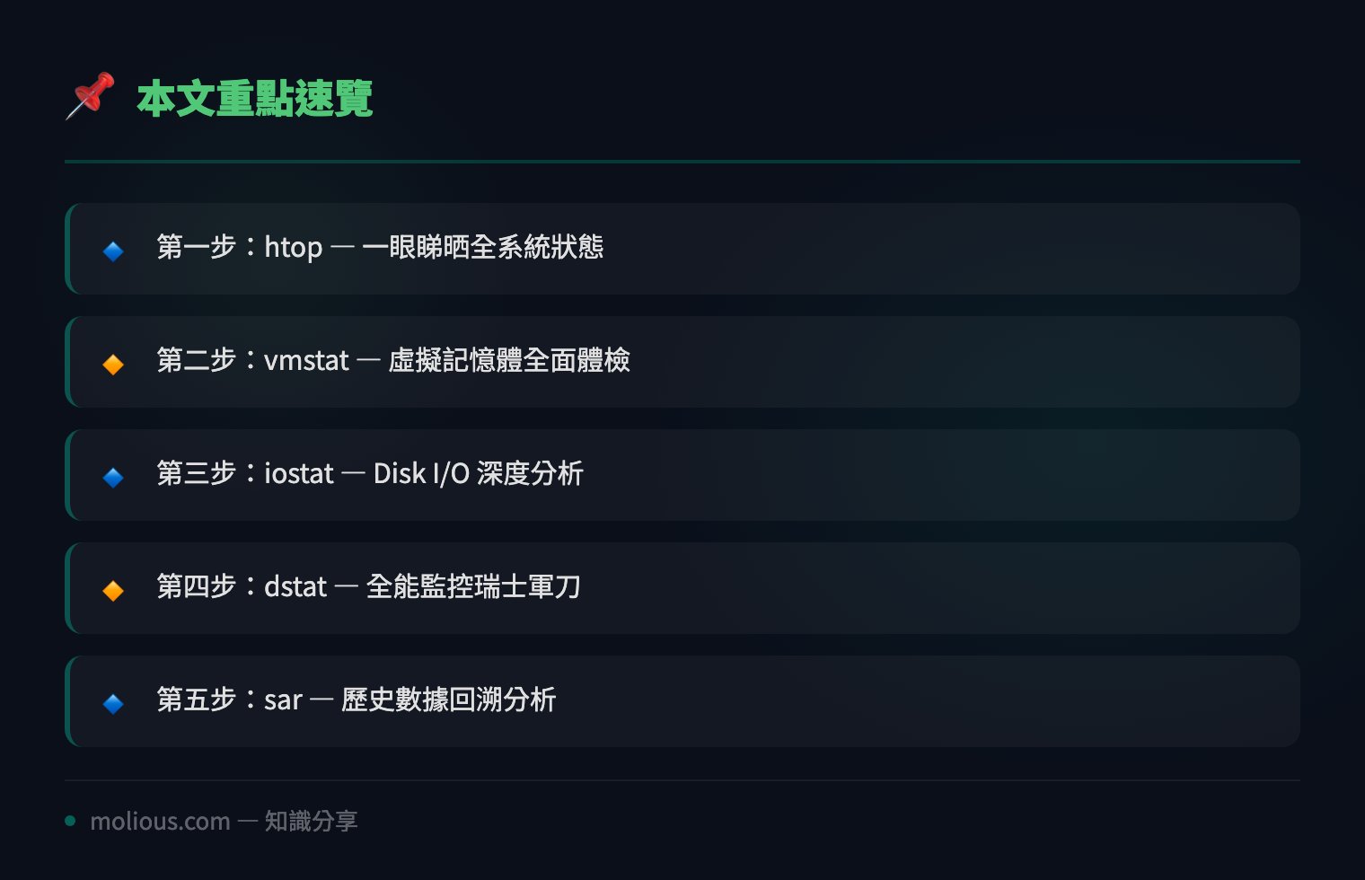 Linux 效能監控實戰教學:用 htop、iostat、vmstat 揪出系統瓶頸 - 文章重點速覽 infographic
