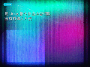 用 Linux 指令快速檢查伺服器有冇俾人入侵