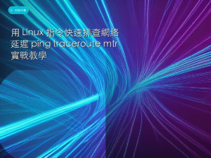 用 Linux 指令快速排查網絡延遲 ping traceroute mtr 實戰教學