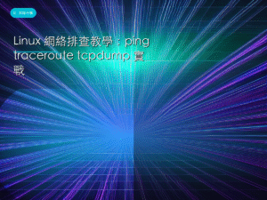 Linux 網絡排查教學：ping traceroute tcpdump 實戰