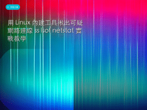 用 Linux 內建工具揪出可疑網絡連線 ss lsof netstat 實戰教學