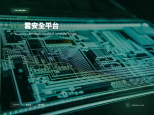 Wiz 雲安全平台 CNAPP 雲端風險管理