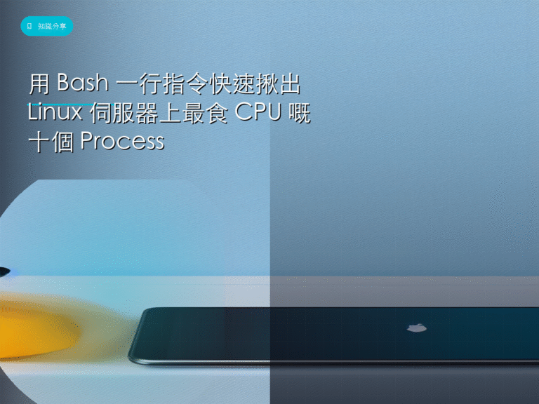 用 Bash 一行指令快速揪出 Linux 伺服器上最食 CPU 嘅十個 Process