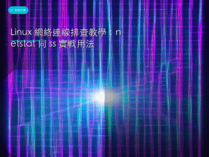 Linux 網絡連線排查教學：netstat 同 ss 實戰用法